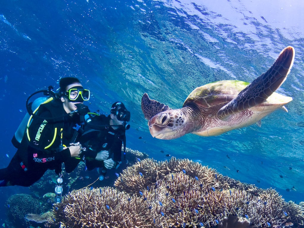 3 Day Great Barrier Reef liveaboard Dive Trip 